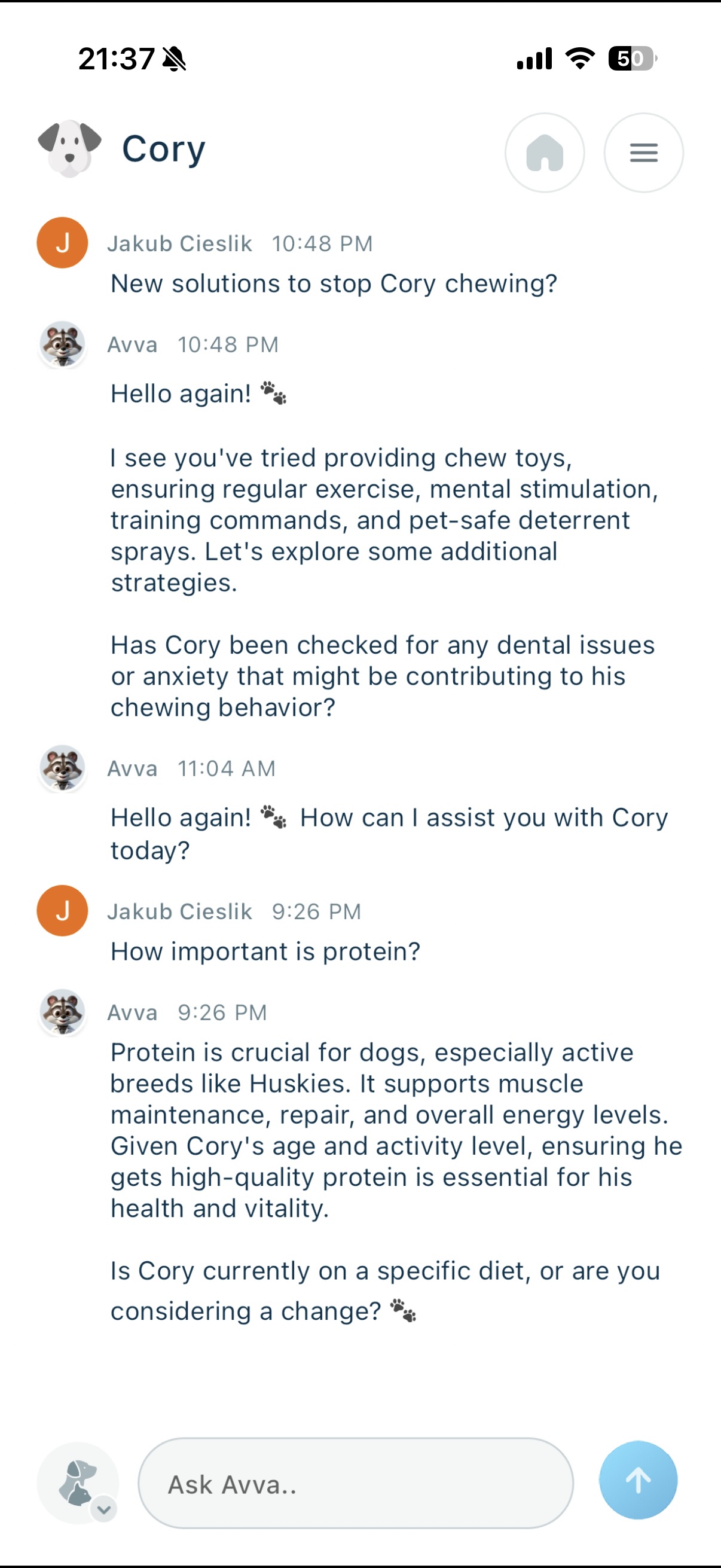 Chat interface showing AI assistant Avva providing personalized pet care advice