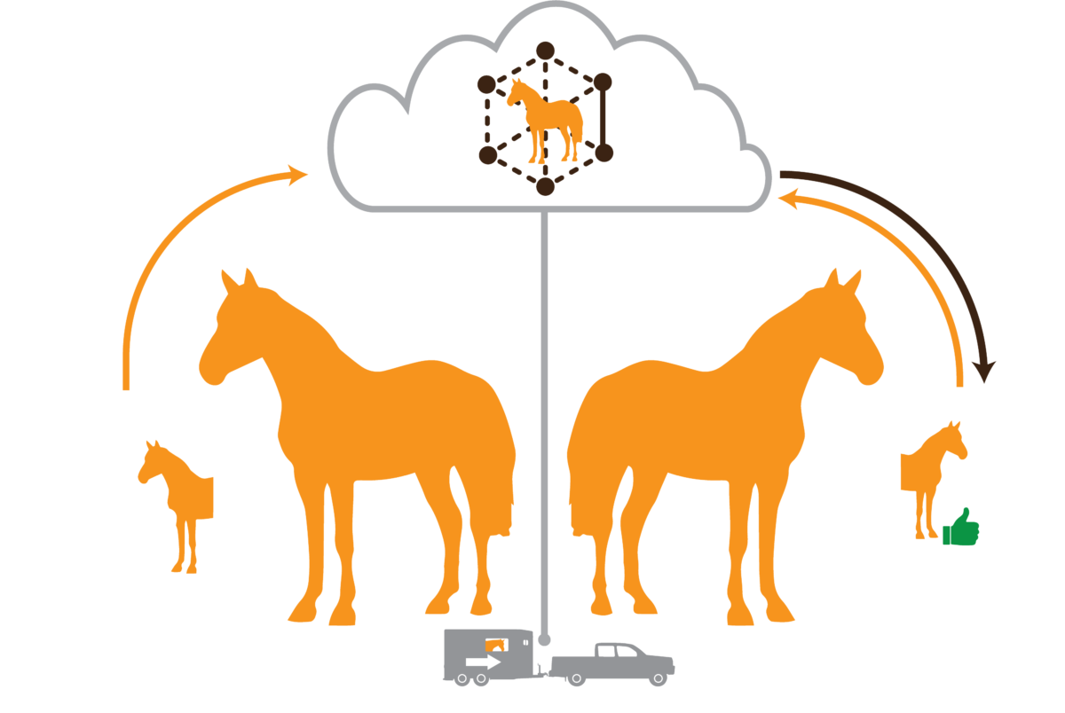EQUiD system architecture diagram showing enrollment, cloud processing, and verification flow